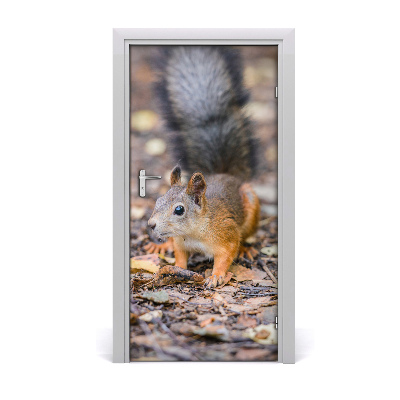 Deursticker Squirrel in het bos