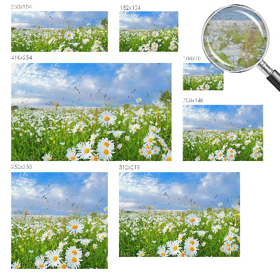 Vliesbehang fotobehang met het motief 'Zomerweide'