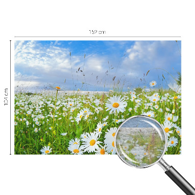 Vliesbehang fotobehang met het motief 'Zomerweide'