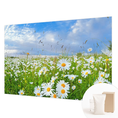 Vliesbehang fotobehang met het motief 'Zomerweide'