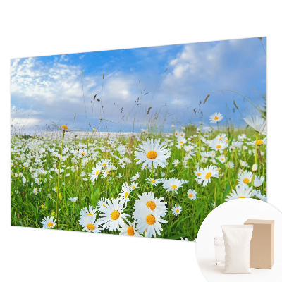 Vliesbehang fotobehang met het motief 'Zomerweide'