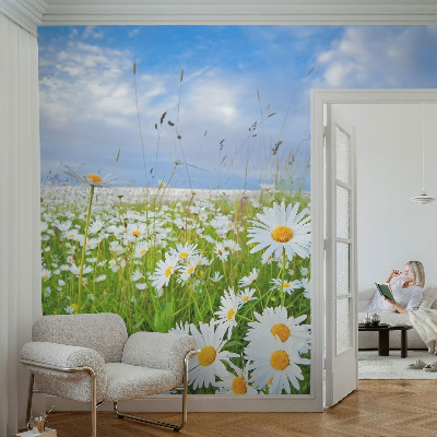 Vliesbehang fotobehang met het motief 'Zomerweide'