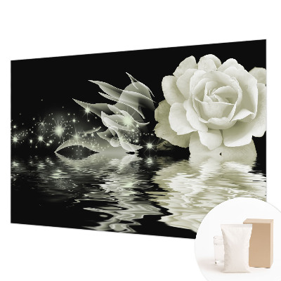 Fotobehang vlies Lichtgevende roos