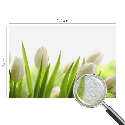 Vlies fotobehang op maat Witte tulpen