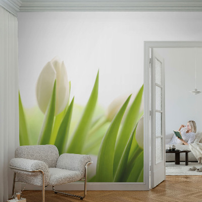Vlies fotobehang op maat Witte tulpen