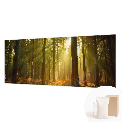 Fotobehang Bosochtend