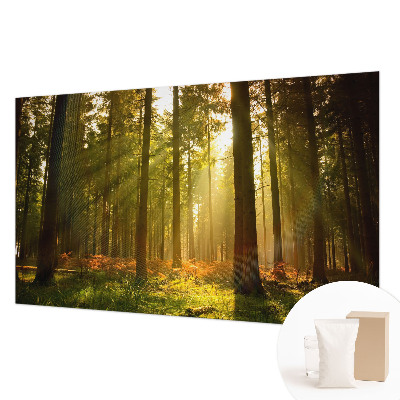 Fotobehang Bosochtend