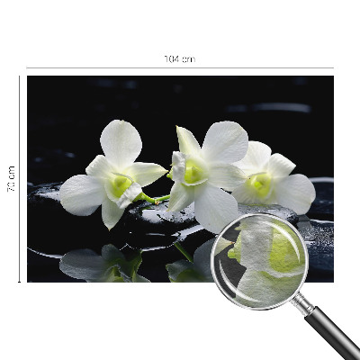 Fotobehang op maat met bloemen- en stenenmotief