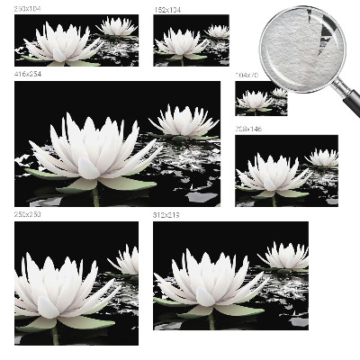 Foto behang op maat Waterbloemen