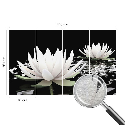Foto behang op maat Waterbloemen