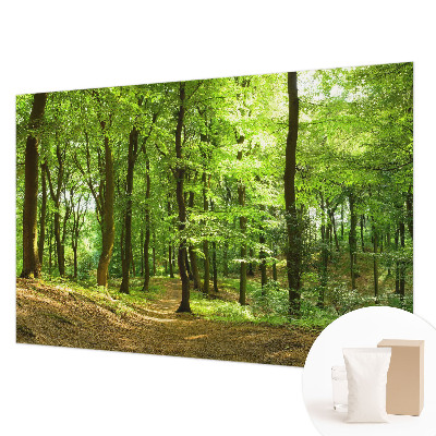 Fotobehang voor de slaapkamer met een print van een natuurlijk pad