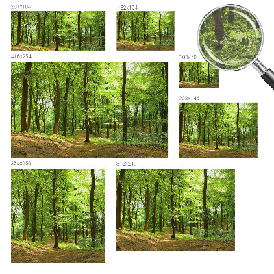 Fotobehang voor de slaapkamer met een print van een natuurlijk pad