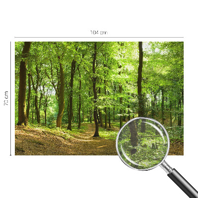 Fotobehang voor de slaapkamer met een print van een natuurlijk pad