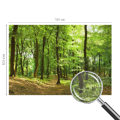 Fotobehang voor de slaapkamer met een print van een natuurlijk pad