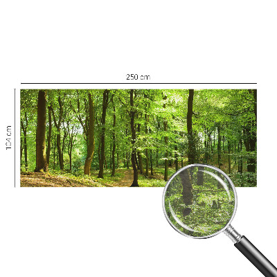 Fotobehang voor de slaapkamer Natuurlijk pad