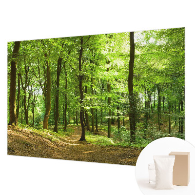 Fotobehang voor de slaapkamer met een print van een natuurlijk pad