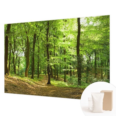 Fotobehang voor de slaapkamer met een print van een natuurlijk pad