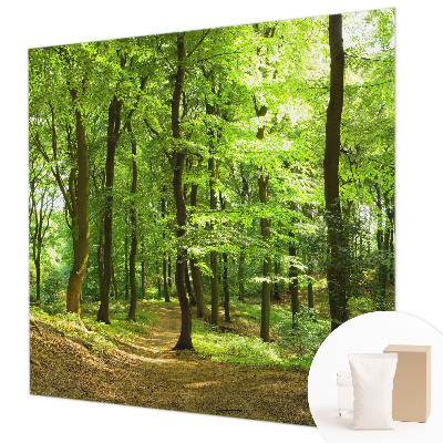 Fotobehang voor de slaapkamer met een print van een natuurlijk pad