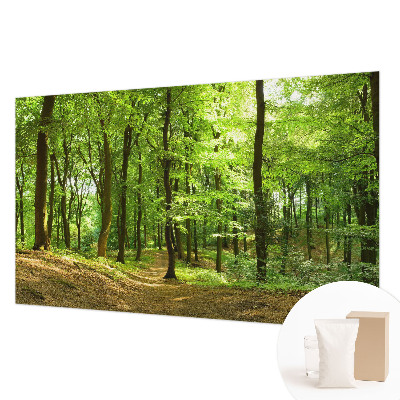 Fotobehang voor de slaapkamer met een print van een natuurlijk pad