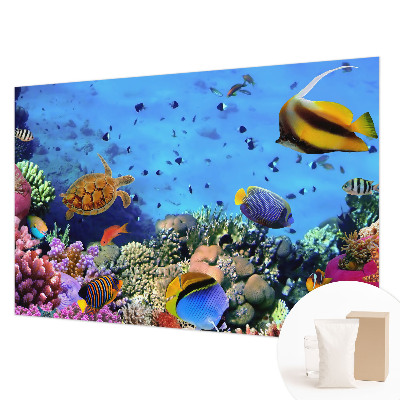 Fotobehang voor de woonkamer met motief van een koraalrif