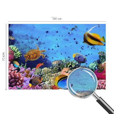 Fotobehang voor de woonkamer Koraalrif