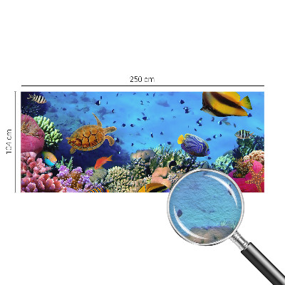 Fotobehang voor de woonkamer Koraalrif