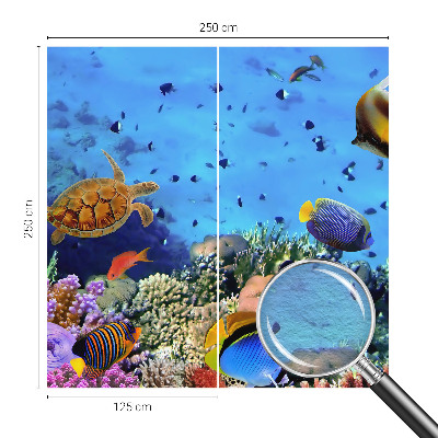 Fotobehang voor de woonkamer Koraalrif