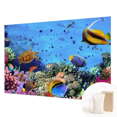 Fotobehang voor de woonkamer Koraalrif