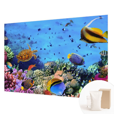 Fotobehang voor de woonkamer Koraalrif