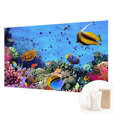 Fotobehang voor de woonkamer met motief van een koraalrif