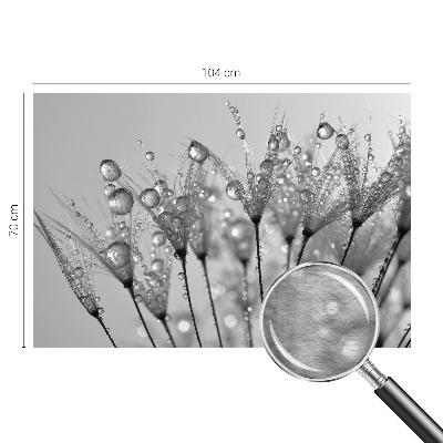 Vliesbehang fotobehang woonkamer Natte delicatesse