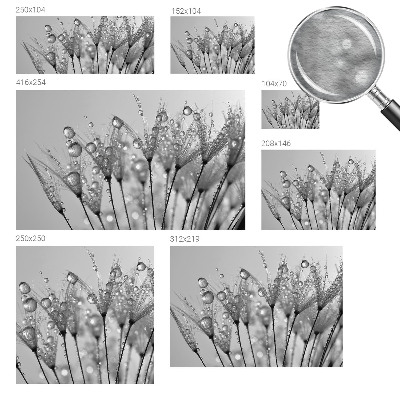 Vliesbehang fotobehang woonkamer Natte delicatesse