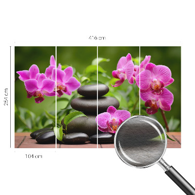 Premium fotobehang Orchideeënstenen