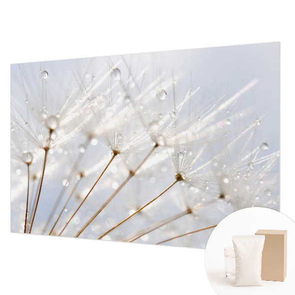 Luxe fotobehang met een roze paardenbloemmotief