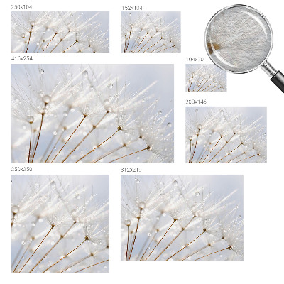 Luxe fotobehang Roze paardenbloem