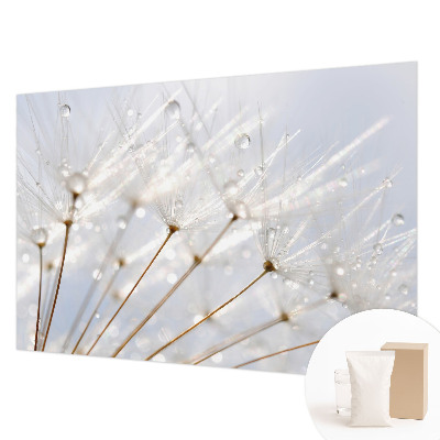 Luxe fotobehang Roze paardenbloem