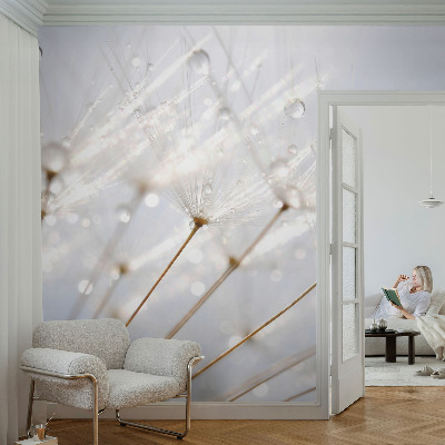 Luxe fotobehang Roze paardenbloem