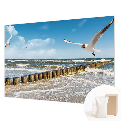 Hoogwaardig fotobehang Kustlandschap
