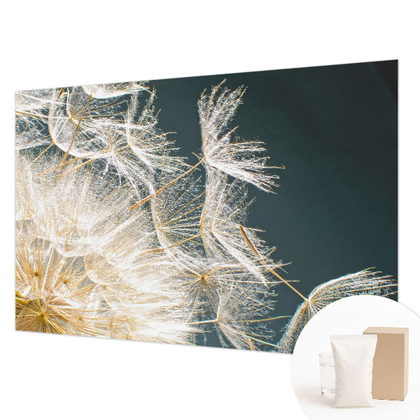 Uniek fotobehang Paardenbloem van lichtheid