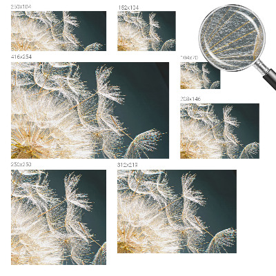 Uniek fotobehang met het motief 'Paardenbloem van lichtheid'