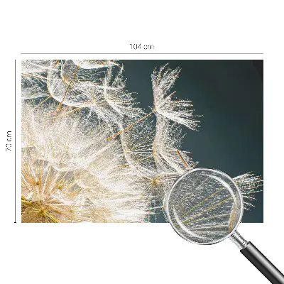 Uniek fotobehang met het motief 'Paardenbloem van lichtheid'