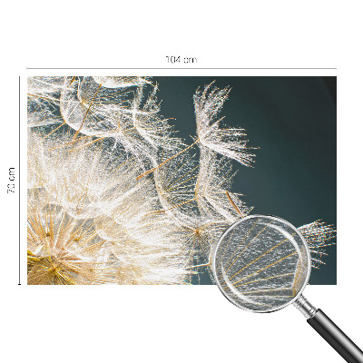 Uniek fotobehang Paardenbloem van lichtheid