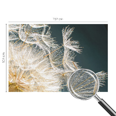 Uniek fotobehang Paardenbloem van lichtheid