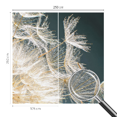 Uniek fotobehang Paardenbloem van lichtheid