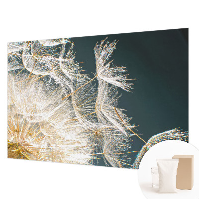Uniek fotobehang met het motief 'Paardenbloem van lichtheid'