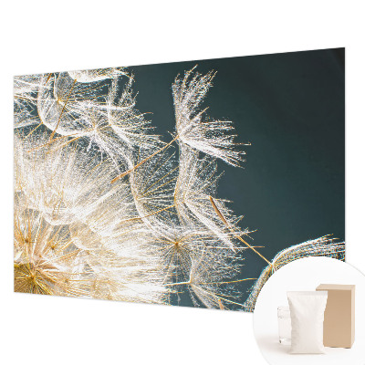 Uniek fotobehang Paardenbloem van lichtheid