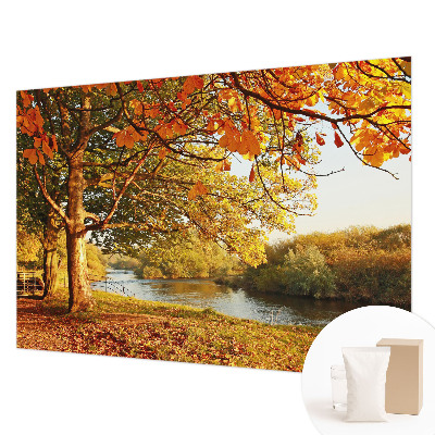 Vlies fotobehang Herfst aan de kust