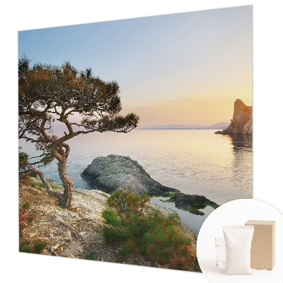Fotobehang vlies Vredige natuur