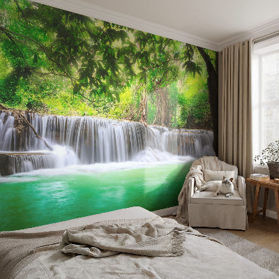 Fotobehang Boswaterval