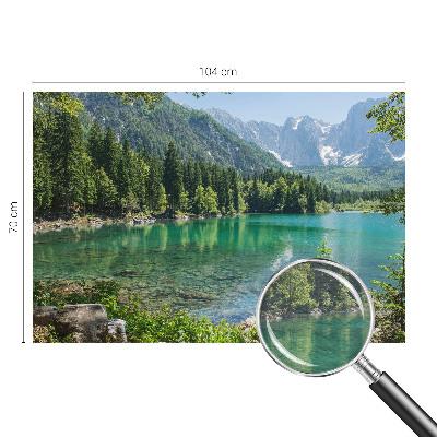 Muur behang Groen meer